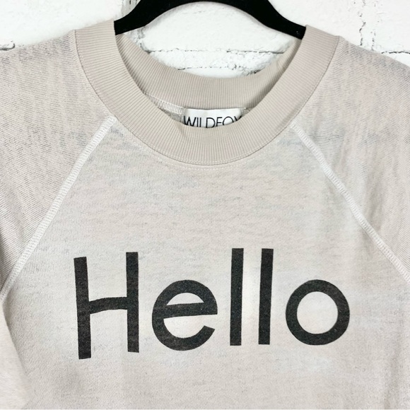 Wildfox Hello Light Grey Terry Burnout Long Sleeve Sweatshirt Medium - Picture 3 of 8